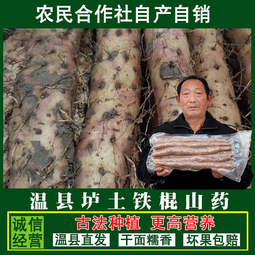 垆土铁棍山药合作社自产自销