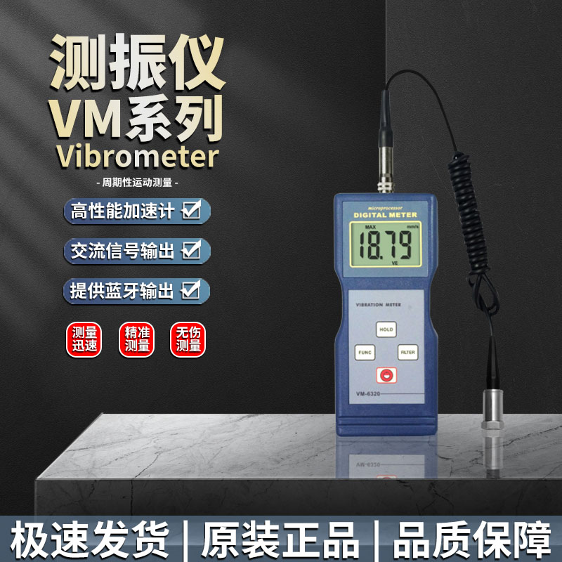 兰泰测振仪VM6310测振表
