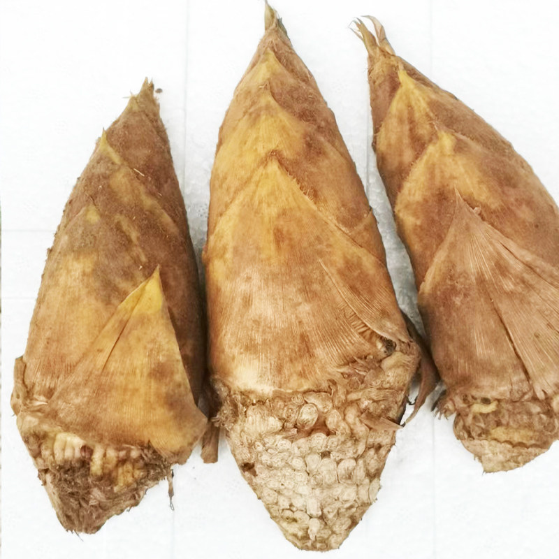 新鲜冬笋竹笋广西兴安华江现挖鲜嫩10斤装带壳带泥毛竹笋时令蔬菜