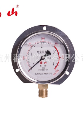 船用压力表 YN-100T 耐震径向带后边船用耐震压力表1.6MPaM20*1.5