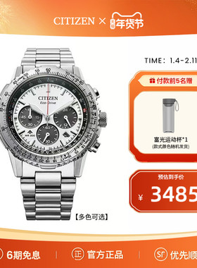 西铁城光动能机芯PROMASTER系列多功能不锈钢商务休闲男表CA4660