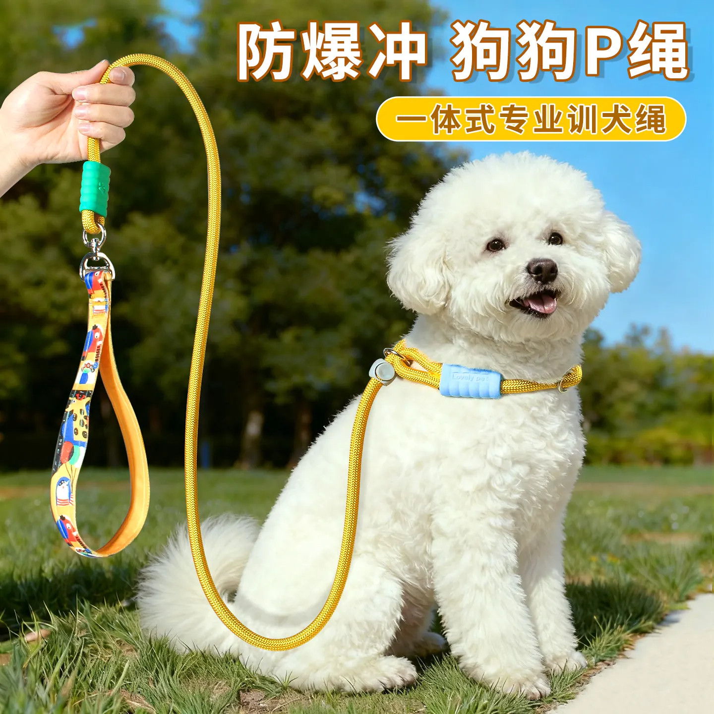 p链p绳狗狗牵引绳遛狗链子小中大型犬训犬防爆冲打结金毛宠物用品