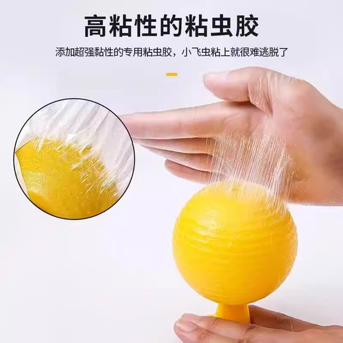 果蝇小飞虫诱捕粘蝇球