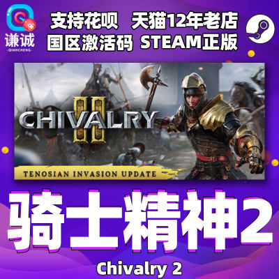 正版骑士精神2steam国区激活码