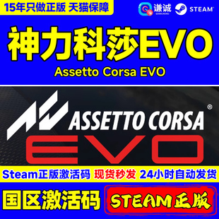 Steam正版 神力科莎EVO Assetto Corsa EVO 神力科莎 激活码CDKey
