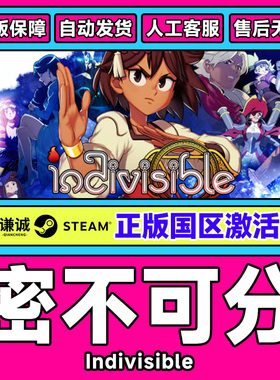 PC中文Steam 密不可分 Indivisible 角色扮演  国区激活码CDKey