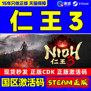 国区激活码 CDKey Steam 中文游戏 Nioh PC正版 类魂动作 仁王3