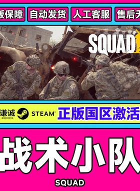 steam 战术小队 Squad 国区激活码cdkey PC中文正版秒发