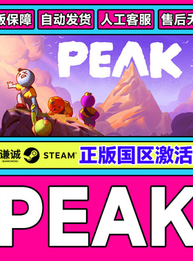 Steam PEAK 拉我一把 国区激活码CDKEY 正版PC游戏