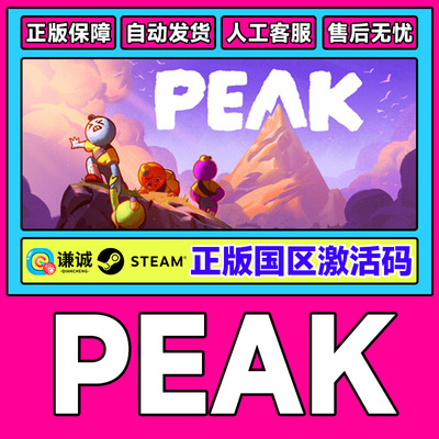 Steam PEAK 拉我一把 国区激活码CDKEY 正版PC游戏