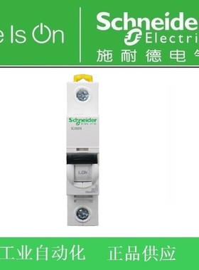 施耐德A9F19101/19102/19103/19104/19106/19110/19116/19120