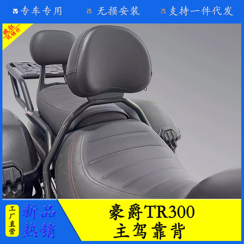 适用豪爵TR300中靠背主驾驶后靠背HJ300-3A改装尾翼托腰护腰靠背