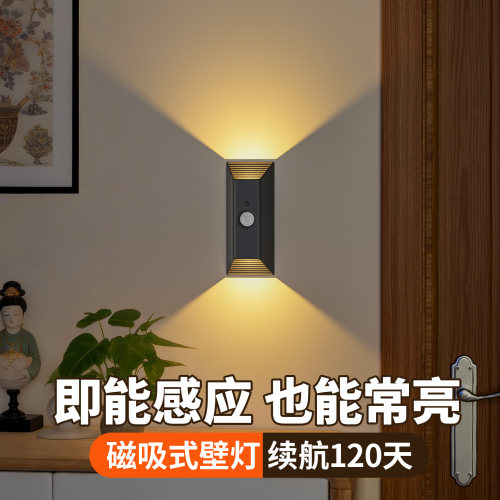 【感应常亮双模式】双头壁灯