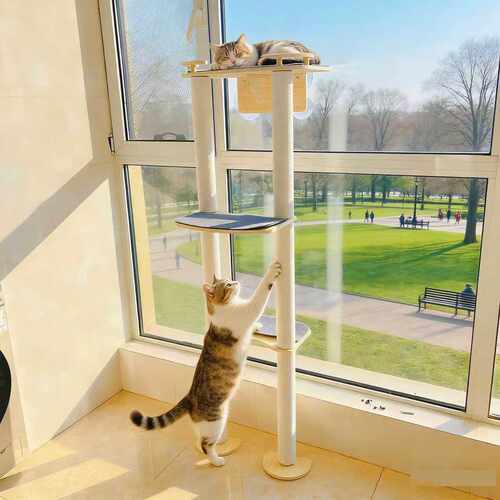 吸盘窗户实木猫爬架猫吊