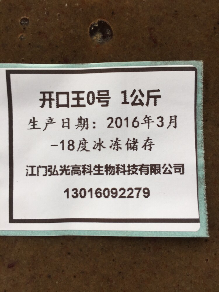 冷藏保鲜非冰冻淡水轮虫泥鳅开口王成活率7成以上营养富含DHA