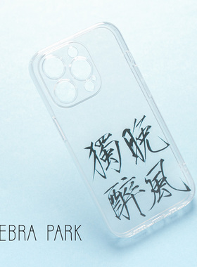 晚风独醉宋徽宗瘦金体黑色字中式潮牌国风国潮设计师书法透明白字适用苹果15小米13iphone16小众不撞款手机壳