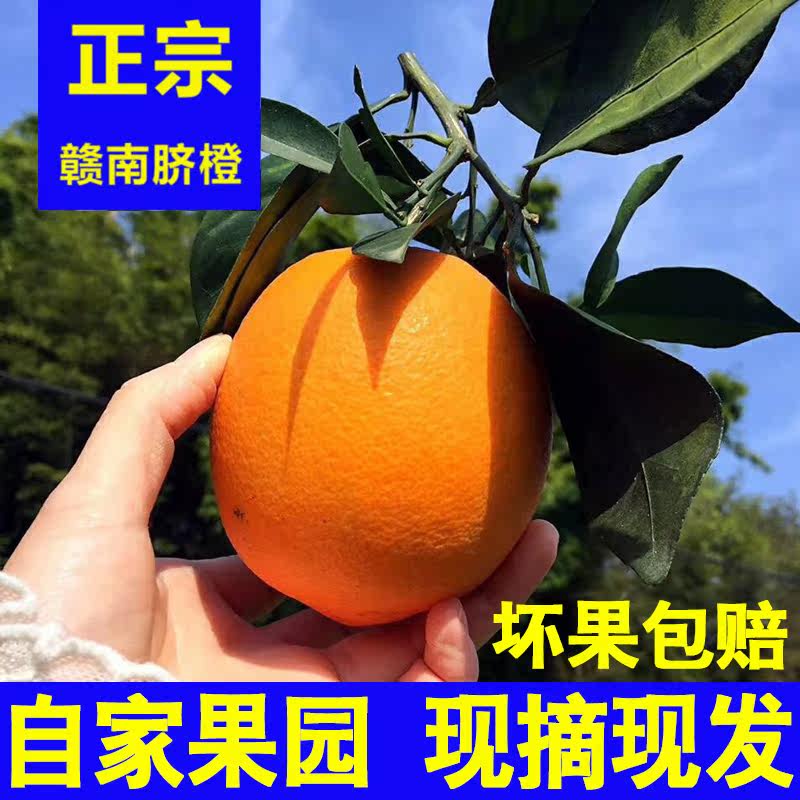 现摘正宗赣南脐橙赣州产地直发江西10斤装当季孕妇新鲜水果橙子20,水产肉类/新鲜蔬果/熟食,橙,淘宝优惠券,粉丝福利购,淘宝优惠卷