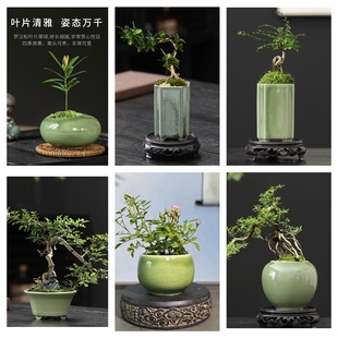 小号陶瓷花盆多肉绿植竹柏冰裂釉窑变办公室花盆栽室内外有孔摆件