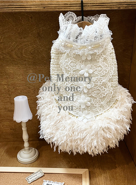 INS新款马尔济斯狗狗年装小香风高定原创秋冬猫咪裙子外套宠物