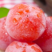 包邮 陕西大荔火晶柿子软糯甜大个柿子24个装 顺丰