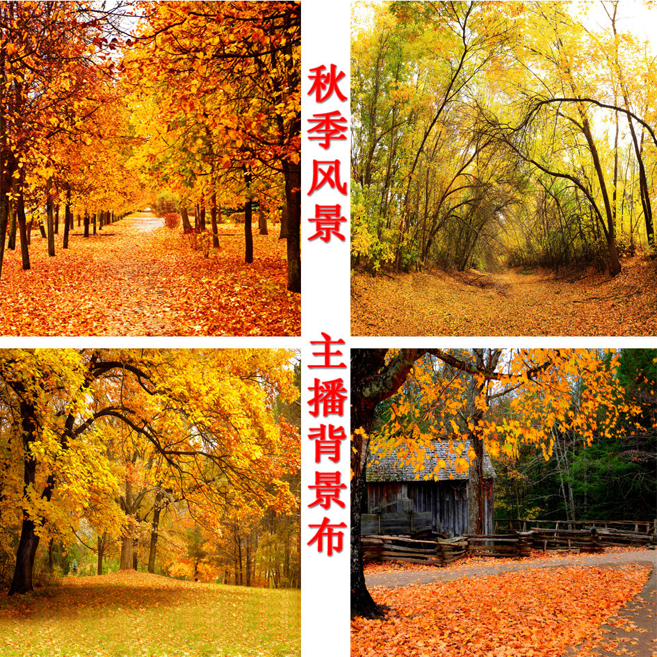 主播直播摄影拍照视频背景布