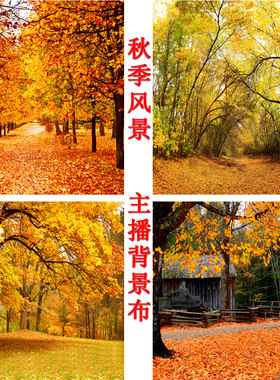 主播直播摄影拍照视频背景布