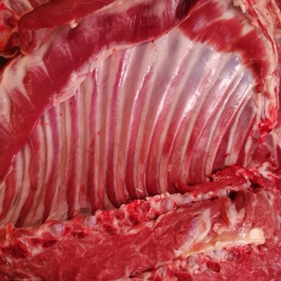 内蒙古呼伦贝尔草原溜达羊羔羊排新鲜羊肉海拉尔羊肉5斤包邮