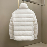 873P31024冬季新款90%白鸭绒简约时尚休闲羽绒服，男装羽绒服，钱塘2019