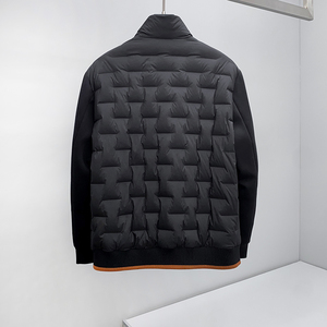090P430 25冬季新款 90%白鹅绒轻薄立领羽绒服  控598图片