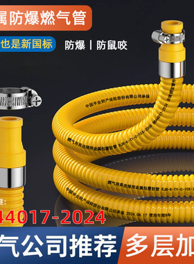 家用新国标GB44017燃气煤气金属软管天然气管防爆防鼠咬铠装管