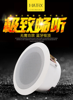 奥斯通/OST 704无线蓝牙有源吸顶喇叭副音响无需功放一拖二套天花