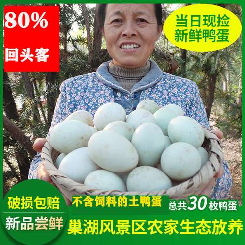 深山生态大水库散放土鸭蛋