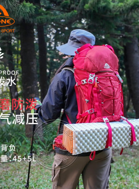 艾王悬浮登山包专业户外徒步爬山双肩背包大容量50升男女旅行背包