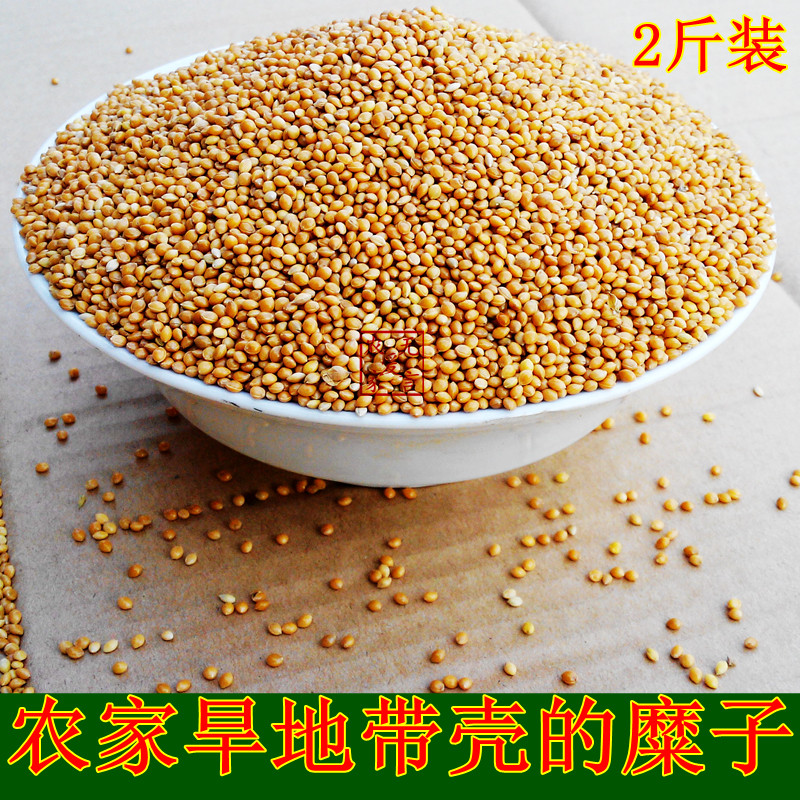 河曲农家带壳糜子米 小孩枕头鸟食疮褥坐垫 糜子垫防褥疮老人免邮