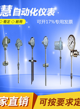 WRNK2系列铠装双支热电偶I级精度 K N J R T S分度号量程0-1000℃