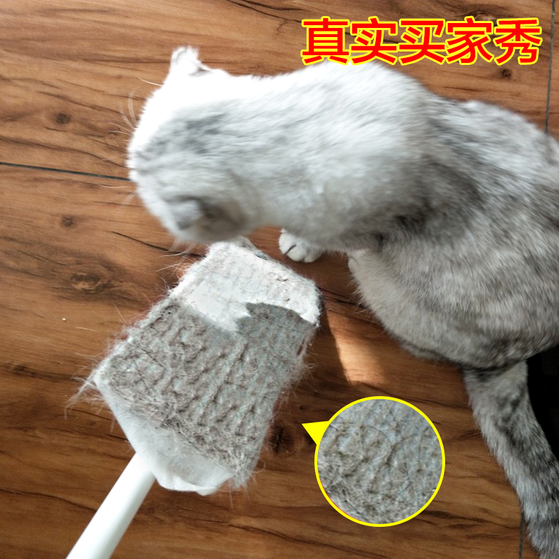 网友分享在meiguo.com的图片