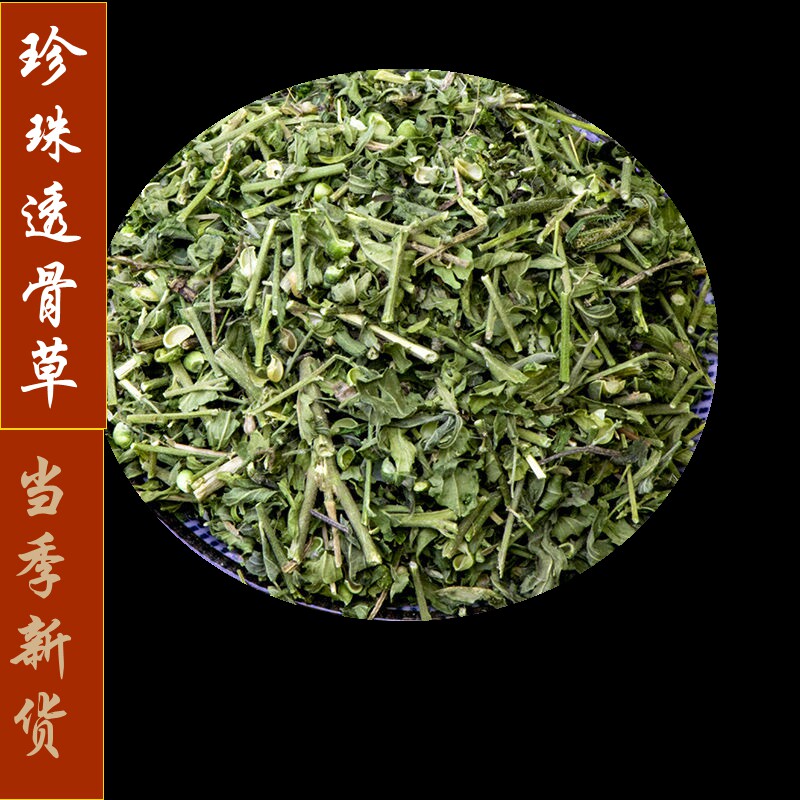 正品野生透骨草500g粉泡珍珠
