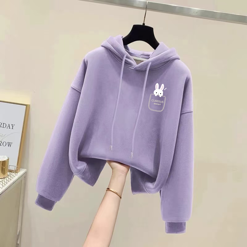 香芋紫连帽衫卫衣女秋冬韩版宽松套头长袖外套加绒加厚设计感上衣