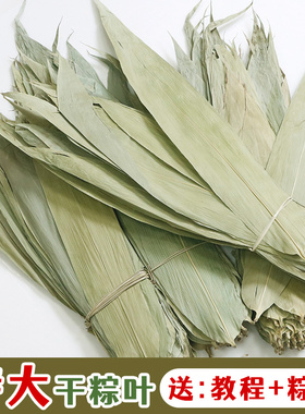 端午干粽叶新鲜大号送草绳包粽子的叶子免邮家用天然特大麻竹叶