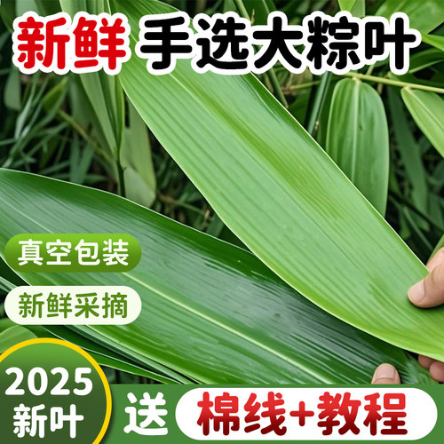 真空密封冷冻发货送棉绳人工精选