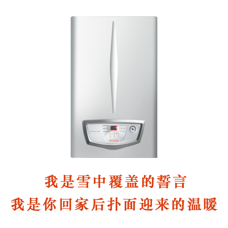 意大利依玛燃气采暖壁挂炉采暖及热水两用炉艾罗米托斯24KW
