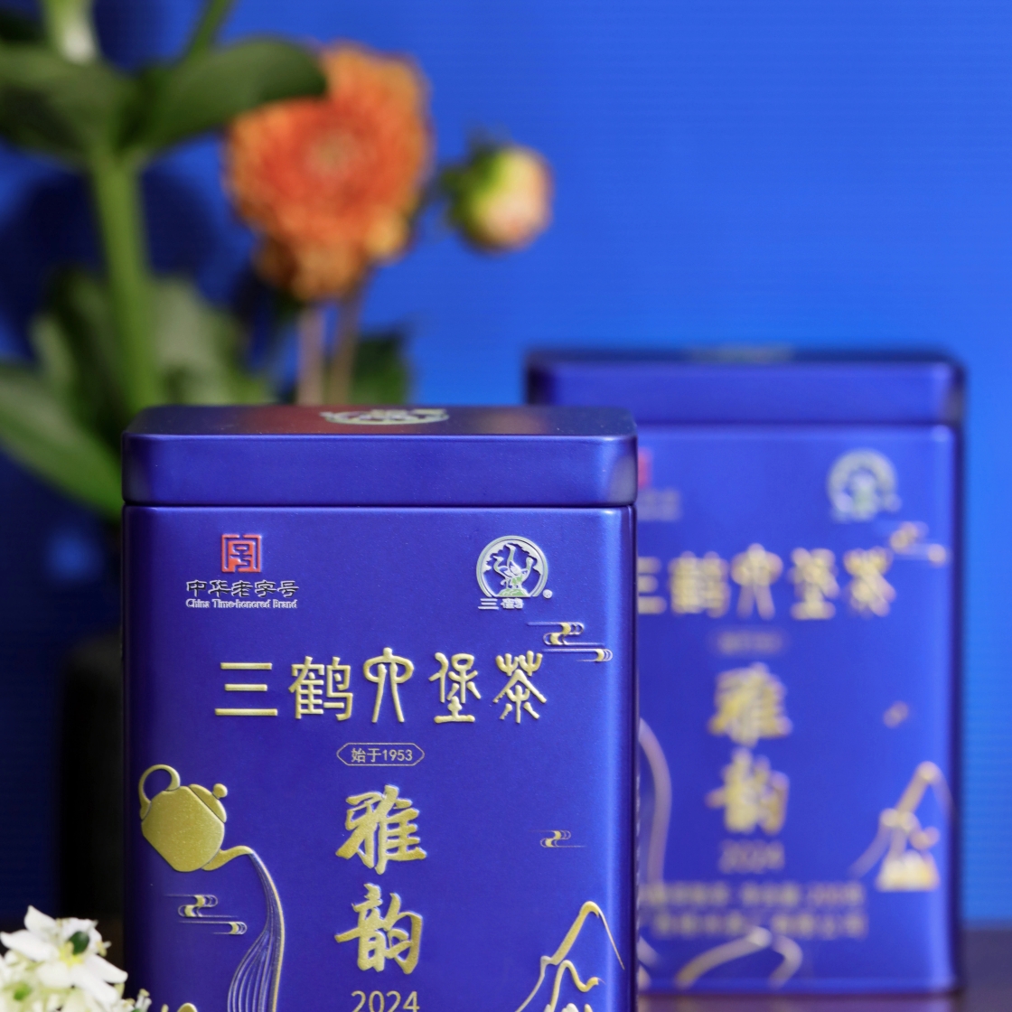 三鹤六堡茶雅韵2024款