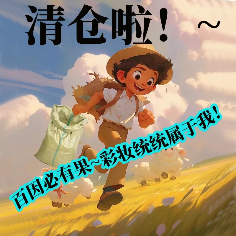 6月30号捡漏清仓全新！个别没塑封未试用 彩妆腮红唇釉假睫毛眼影