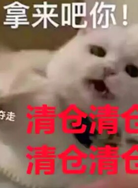 10月18号 特价清仓福利 香水假睫毛腮红口红眼影 微瑕疵不售后