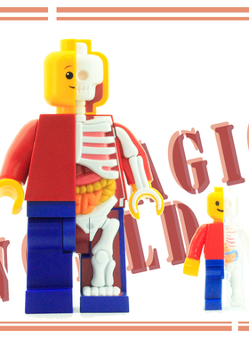 JasonFreeny11寸MightyJaxx砖块积木人卡通解剖透视模型塑胶摆件