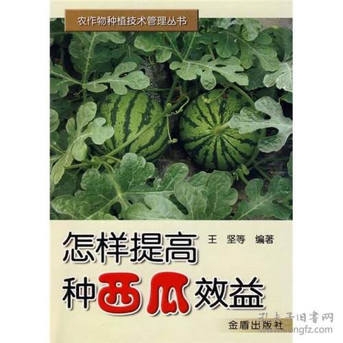 （正版包邮）怎样提高种西瓜效益9787508241845金盾