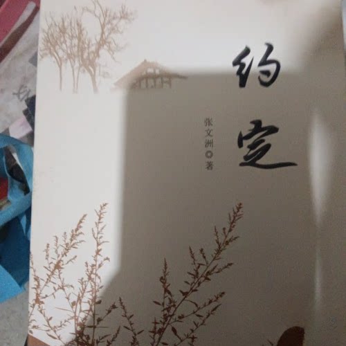 （正版包邮）约定97875511590815本--bm666