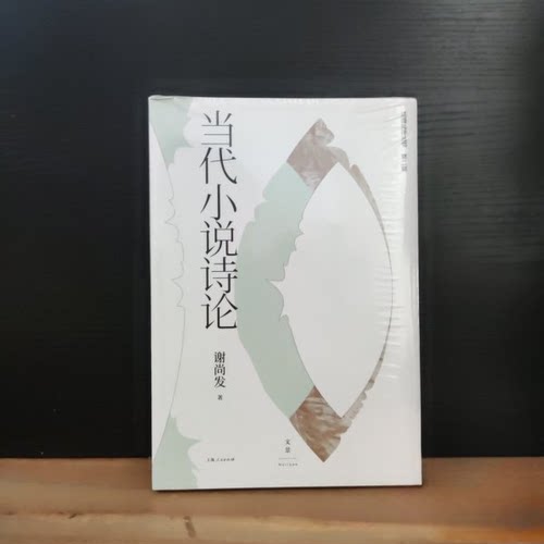 （正版包邮）述而批评丛书Di二辑当代小说诗论9787208192379上海人民