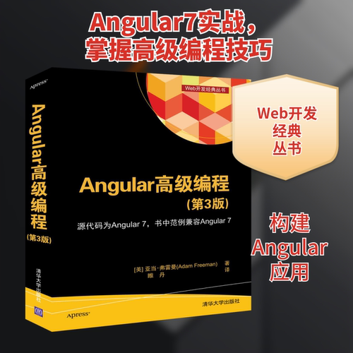 （正版包邮）Angular高Ji编程(Di3版)9787302529170清华大学