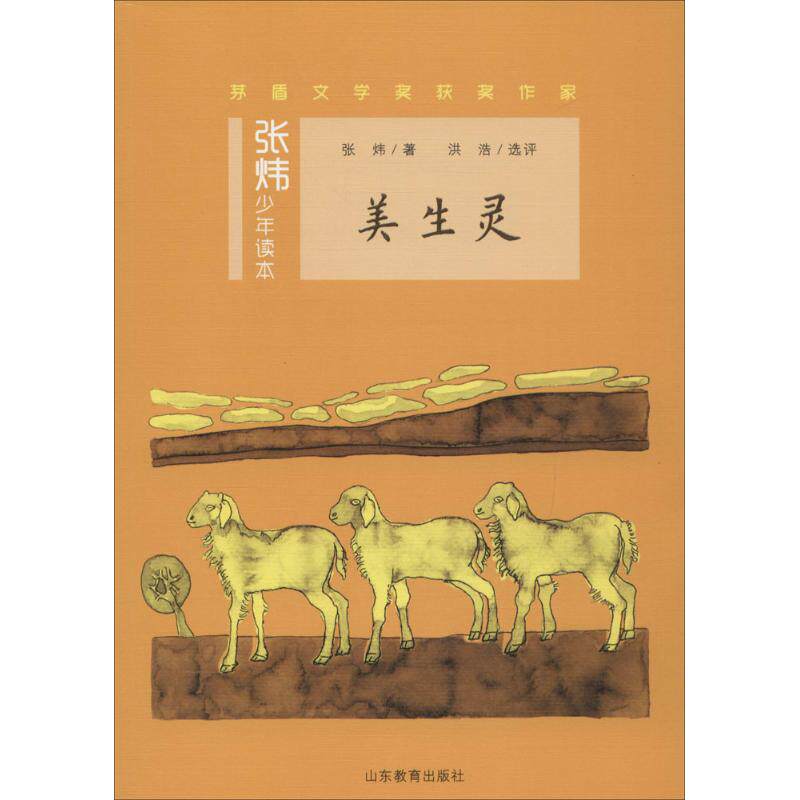 （正版包邮）美生灵9787532894284山东教育